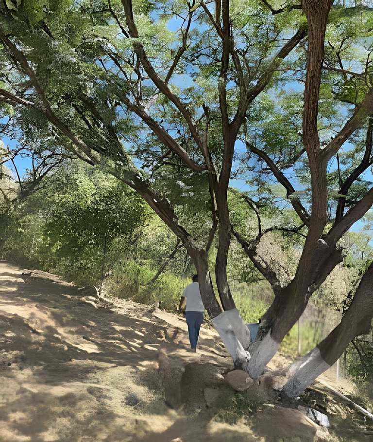 6 Alberca privada y Vista a el lago de Chapala