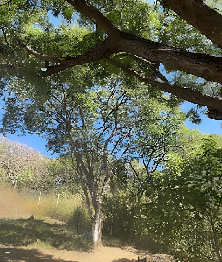 6 Alberca privada y Vista a el lago de Chapala