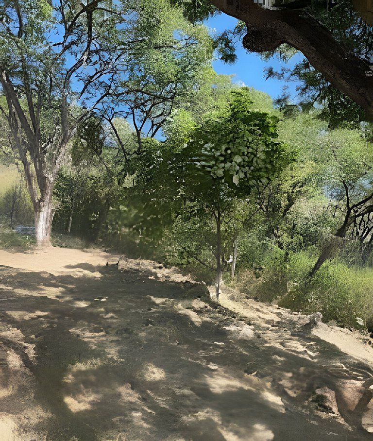 6 Alberca privada y Vista a el lago de Chapala