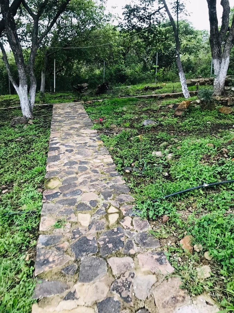 6A Alberca Privada y Vista al lago de Chapala